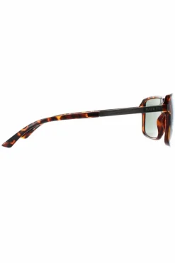 Sunglasses*Guess Aviator Dark Havana Green GF5085 Brown