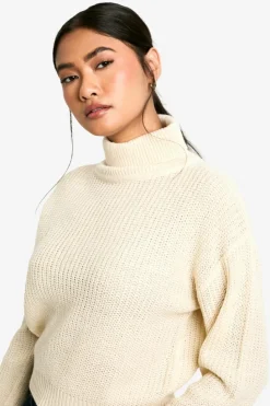 Jumpers|Knitwear*boohoo Basic Roll Neck Crop Jumper stone