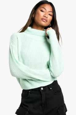 Jumpers|Jumpers & Cardigans*boohoo Basic Roll Neck Crop Jumper mint