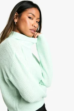 Jumpers|Jumpers & Cardigans*boohoo Basic Roll Neck Crop Jumper mint
