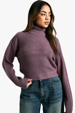 Jumpers|Jumpers & Cardigans*boohoo Basic Roll Neck Crop Jumper purple