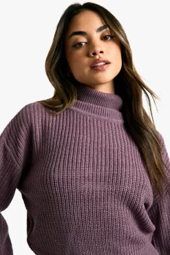 Jumpers|Jumpers & Cardigans*boohoo Basic Roll Neck Crop Jumper purple