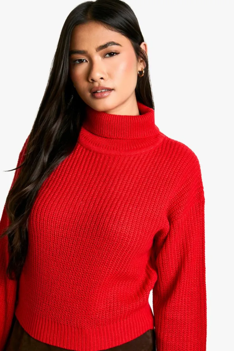 Jumpers|Jumpers & Cardigans*boohoo Basic Roll Neck Crop Jumper red