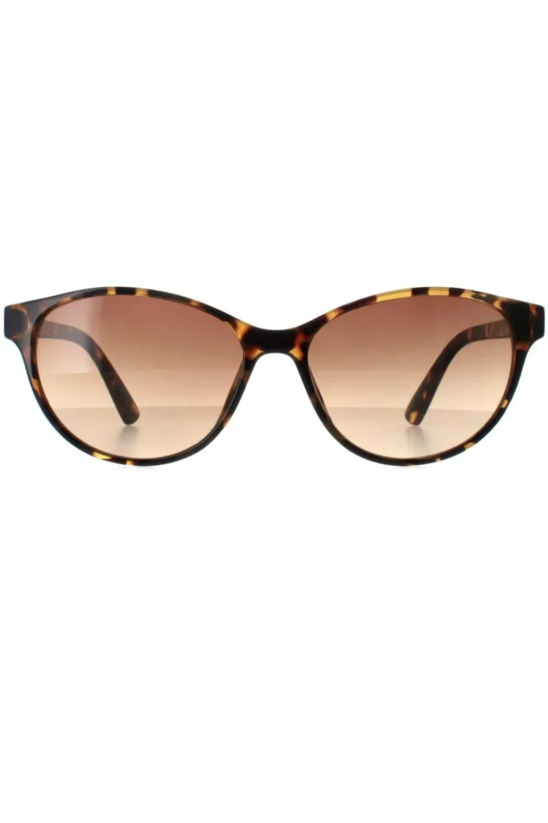 Sunglasses*CALVIN KLEIN Cat Eye Tortoise Gradient CK20517S Brown
