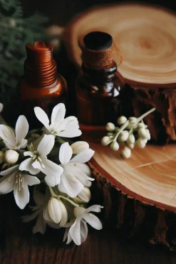 Candles & Diffusers|Candles*CAMPSIE Candles Cedar, Oak & Jasmine Wax Melt Duo White