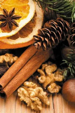 Candles & Diffusers|Candles*CAMPSIE Candles Christmas Spice Wax Melt Duo White