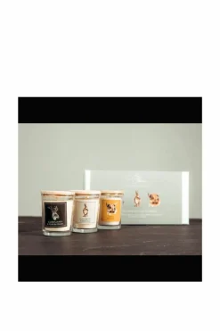 Candles & Diffusers|Candles*Meg Hawkins Favourites Set of 3 Mini Candles 70g Multi
