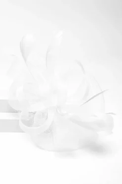 Hair Accessories*Quiz Feather Clip Fascinator White