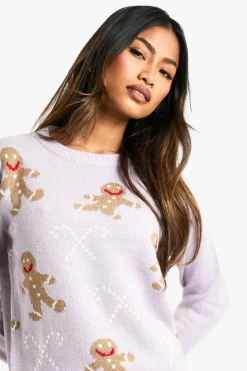 Jumpers*boohoo Gingerbread Man Jumper lilac