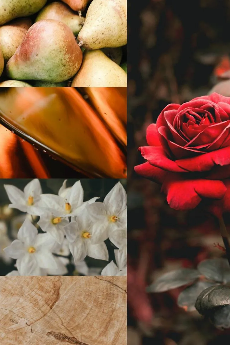 Candles & Diffusers|Candles*CAMPSIE Candles Love - Rose Quartz Crystal Candle - Rosewood & Velvet White