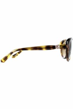 Sunglasses*Ted Baker Oval Havana Gradient TB1315 Cougar Brown