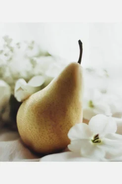 Candles & Diffusers|Candles*CAMPSIE Candles ‘Pear & Freesia’ Reed Diffuser White