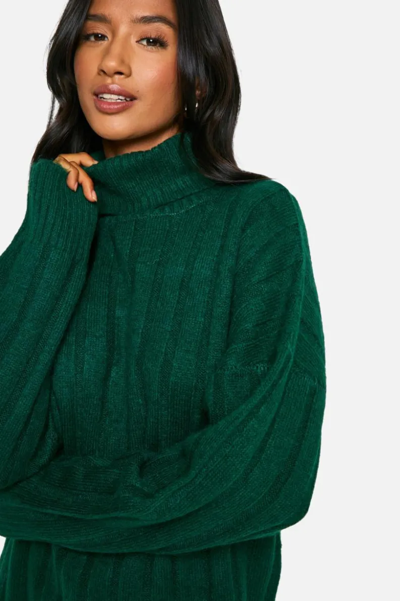 Jumper Dresses|Jumper Dresses*boohoo Petite Soft Rib Roll Neck Jumper Dress bottle