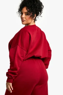 Sweatshirts|Hoodies & Sweatshirts*boohoo Plus Bronx Applique Elasticated Hem Sweatshirt burgundy