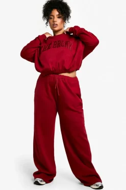 Sweatshirts|Hoodies & Sweatshirts*boohoo Plus Bronx Applique Elasticated Hem Sweatshirt burgundy