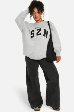 Sweatshirts|Athleisure*boohoo Plus Szn Applique Oversized Sweatshirt ash grey