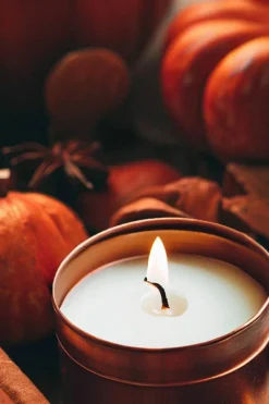Candles & Diffusers|Candles*CAMPSIE Candles Pumpkin Spice Candle Tin Rose Gold
