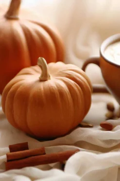 Candles & Diffusers|Candles*CAMPSIE Candles Pumpkin Spice Candle Tin Rose Gold
