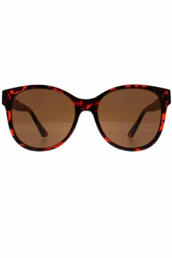 Sunglasses*Guess Round Gradient GF0362 Brown