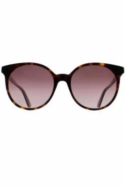 Sunglasses*Gucci Round Dark Havana Gradient GG0488S Brown