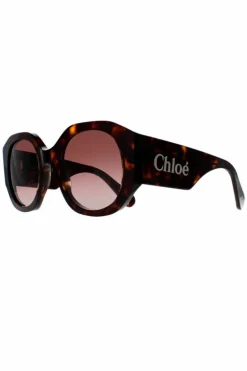Sunglasses*Chloe Round Dark Havana Gradient CH0234S Brown