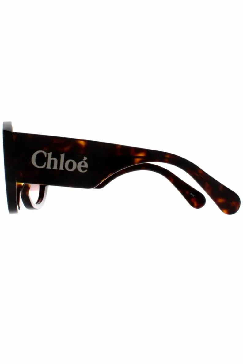 Sunglasses*Chloe Round Dark Havana Gradient CH0234S Brown