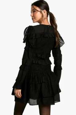 Skater Dresses*boohoo Sheered Long Sleeve Ruffle Mini Dress black