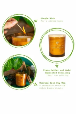 Candles & Diffusers|Candles*Nicola Spring Soy Wax Scented Candle - 130g - Sandalwood & Jasmine Orange