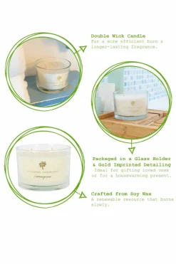 Candles & Diffusers|Candles*Nicola Spring Soy Wax Scented Candle & Reed Diffuser Set - 350g - Lemongrass Cream