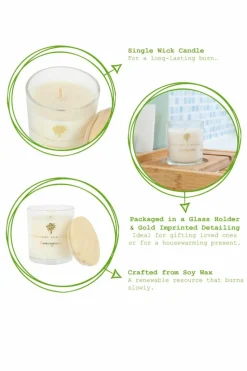 Candles & Diffusers|Candles*Nicola Spring Soy Wax Scented Candles - 130g - Lemongrass - Pack of 3 Cream