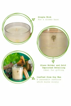 Candles & Diffusers|Candles*Nicola Spring Soy Wax Scented Candles - 130g - Green Pomelo & Passion Fruit - Pack of 3 Grey