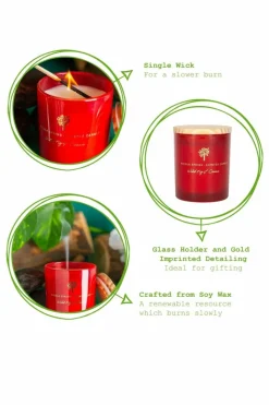 Candles & Diffusers|Candles*Nicola Spring Soy Wax Scented Candles - 130g - Wild Fig & Cassis - Pack of 3 Red
