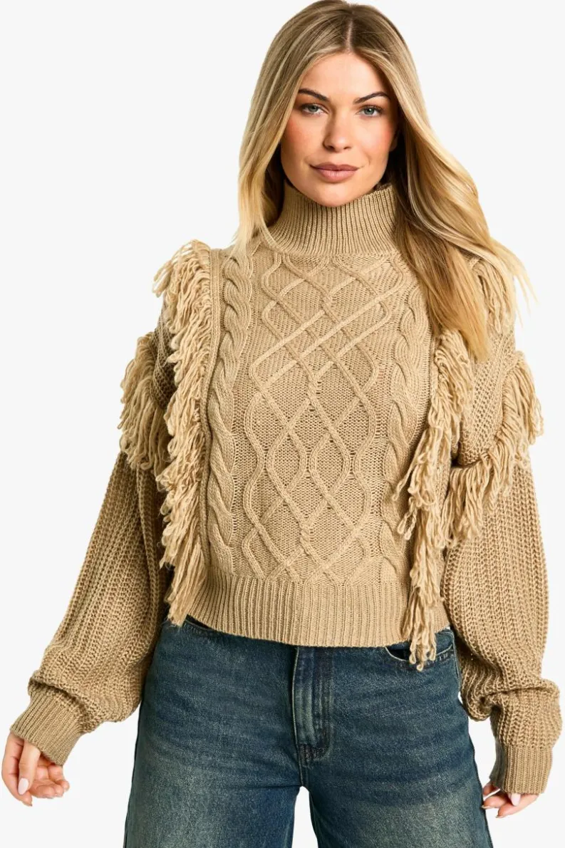 Jumpers*boohoo Tassel Detail Cable Knit Jumper mocha