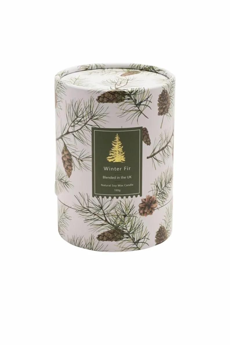 Candles & Diffusers|Candles*The Novelties Company Winter Fir 180g Candle - Boxed Green